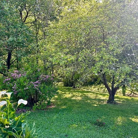 Holiday home Maison En Pleine Nature